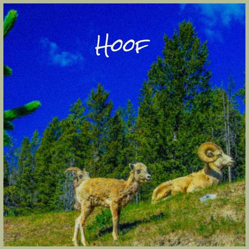 Hoof