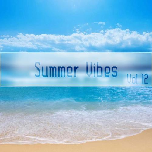 Summer Vibes Vol, 12