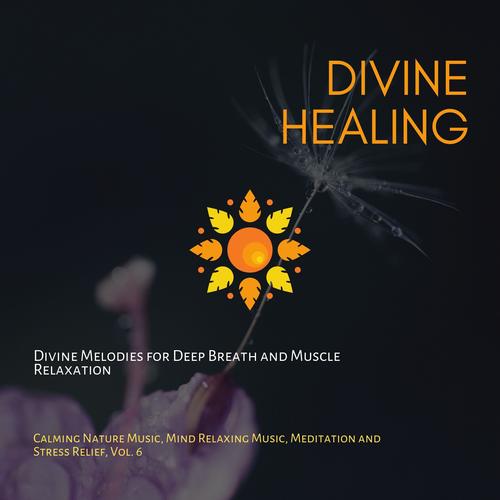 Divine Healing (Divine Melodies For Deep Breath And Muscle Relaxation) (Calming Nature Music, Mind Relaxing Music, Meditation And Stress Relief, Vol. 6)