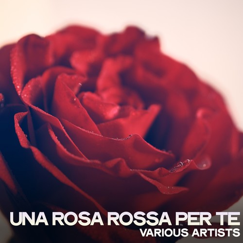 Una rosa rossa per te