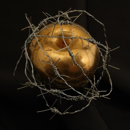 Forbidden Fruit