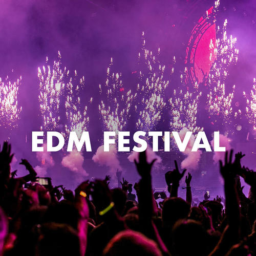 EDM Festival (Explicit)