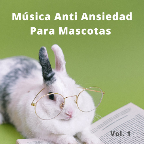 Música Anti Ansiedad Para Mascotas Vol. 1