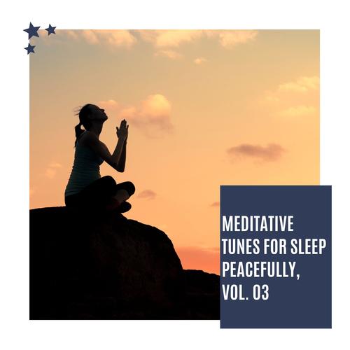 Meditative Tunes For Sleep Peacefully, Vol. 03