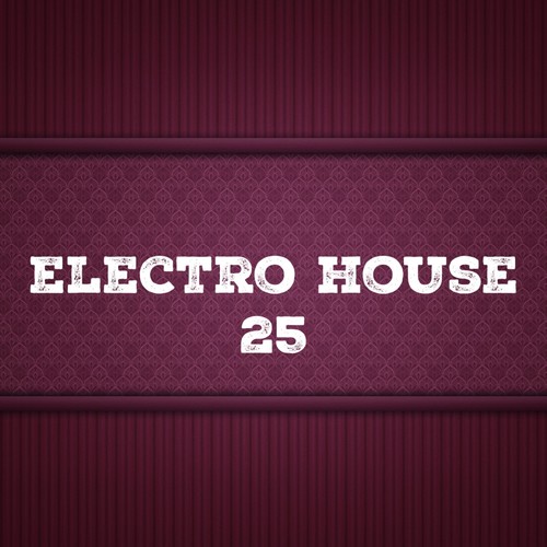 Electro House, Vol. 25