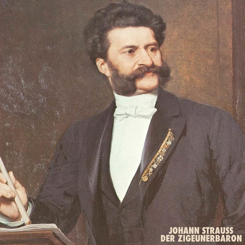 Johann Strauss: Der Zigeunerbaron (Vol. 1)