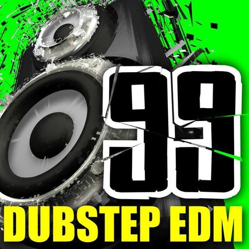 Electronic Dance Music EDM 2013