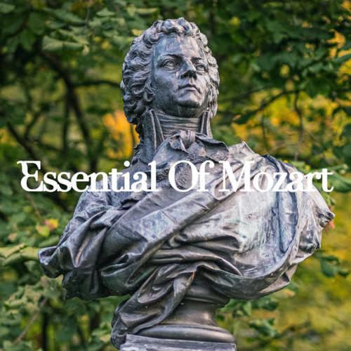 Essential Of Mozart