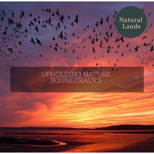 Upholding Nature Soundtracks