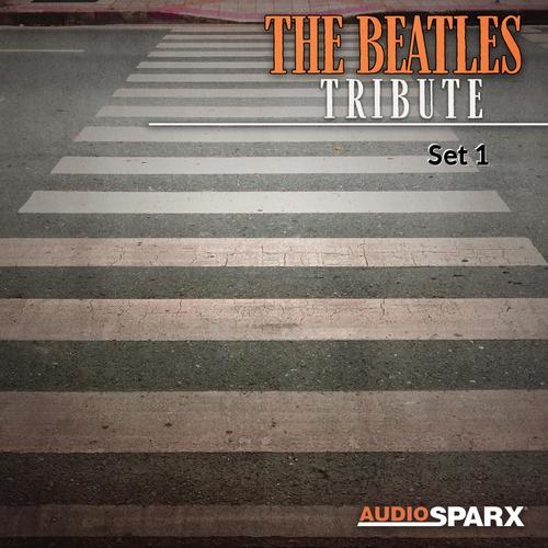 The Beatles Tribute, Set 1