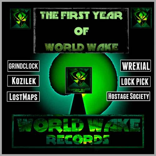 The First Year of World Wake