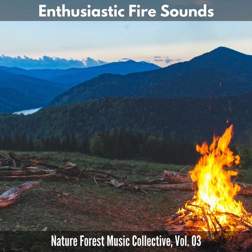 Enthusiastic Fire Sounds - Nature Forest Music Collective, Vol. 03