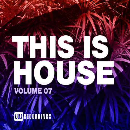 This Is House, Vol. 07