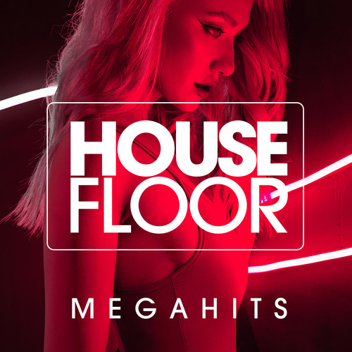 HOUSEFLOOR MEGAHITS