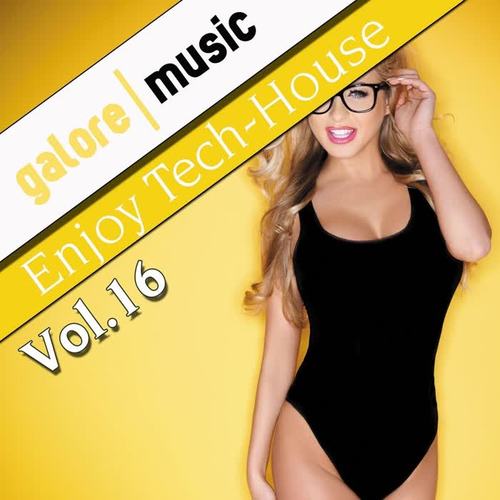 Enjoy Tech-House, Vol. 16