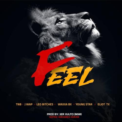 Feel (feat. Leo bx, Waxxa bx, Jay wap, Eliot tx, TNB alienboy & Young star marley) [Explicit]