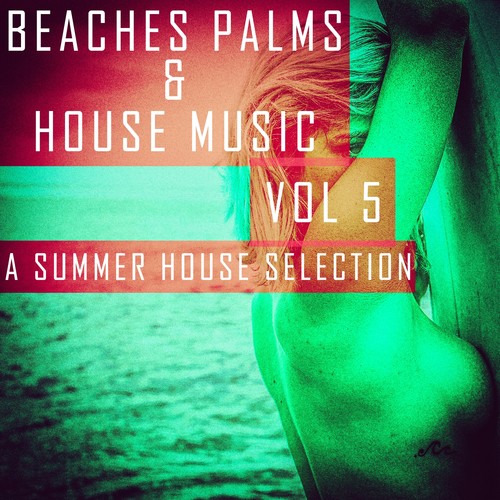 Beaches, Palms & House Music: 5