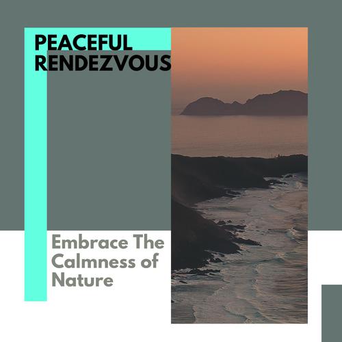 Peaceful Rendezvous - Embrace The Calmness of Nature