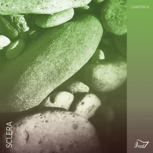 Sclera ; Chapter 4
