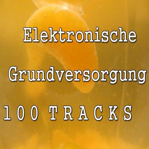 Elektronische Grundversorgung (1 0 0 T R A C K S)