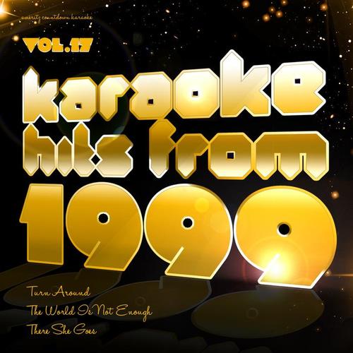 Karaoke Hits from 1999, Vol. 17