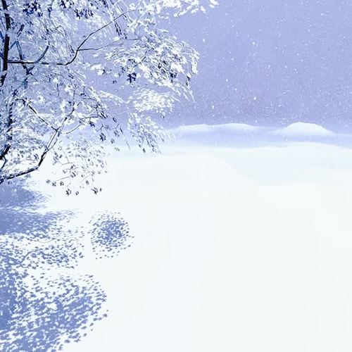 春雪与希望