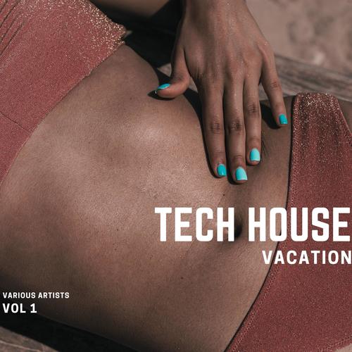 Tech House Vacation, Vol. 1 (Explicit)