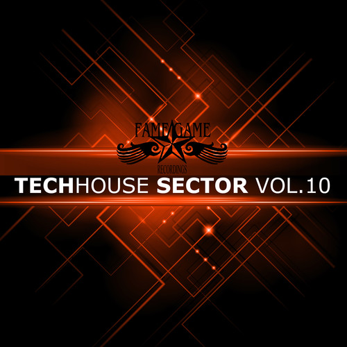 Techhouse Sector, Vol. 10 (Explicit)