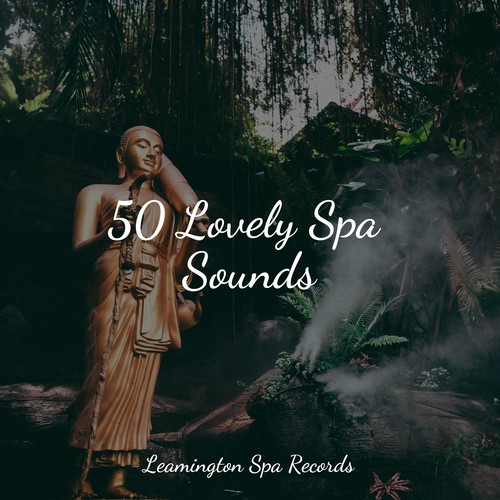 50 Lovely Spa Sounds