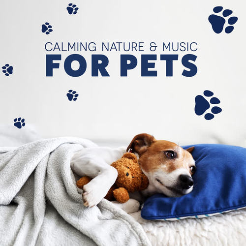 Calming Nature & Music for Pets (Reduce Pet Separation Anxiety Quickly, Sounds Helping in Pet Relaxation Therapy)