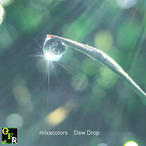 Dew Drop