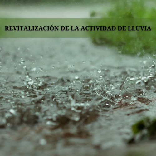 Revitalización De La Actividad De Lluvia