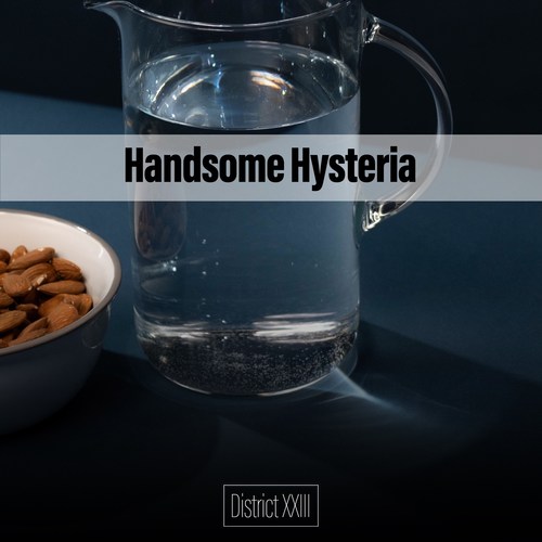 Handsome Hysteria District XXIII