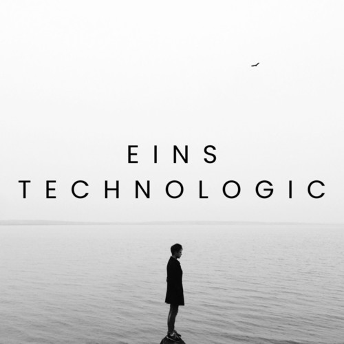 Eins Technologic