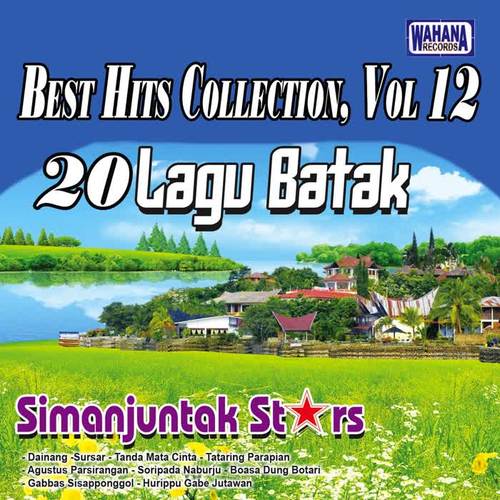 Best Hits Collection, Vol. 12