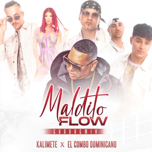 Maldito Flow Euro (Remix)