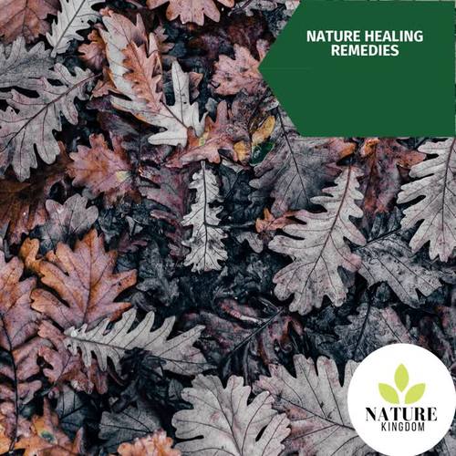 Nature Healing Remedies