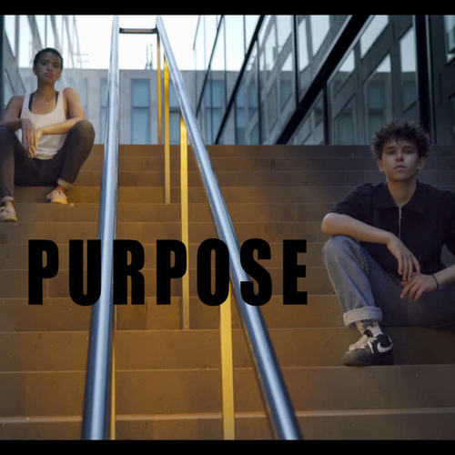 Purpose (Explicit)