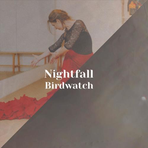 Nightfall Birdwatch