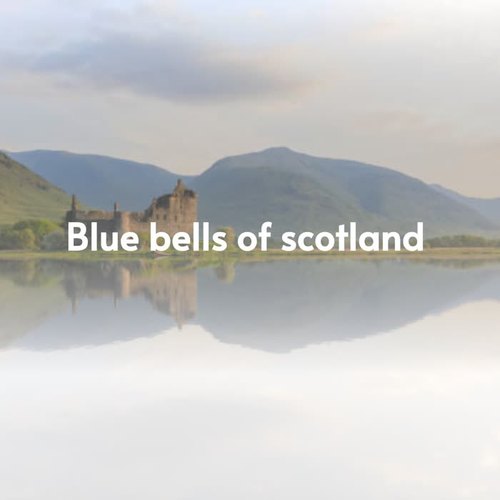 Blue Bells of Scotland