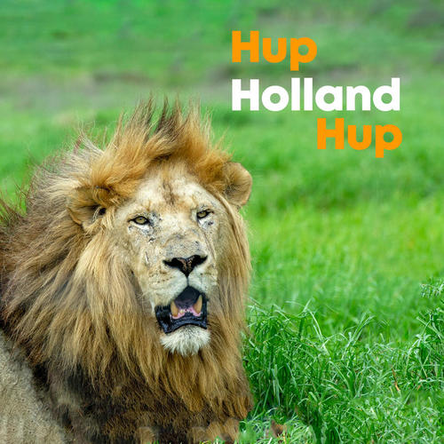 HUP HOLLAND HUP | Oranje Hits