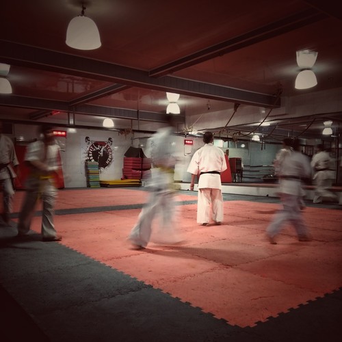 Kung Fu Flips