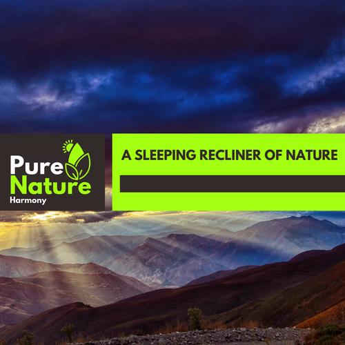 A Sleeping Recliner of Nature
