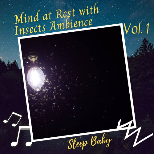 Sleep Baby: Mind at Rest with Insects Ambience Vol. 1