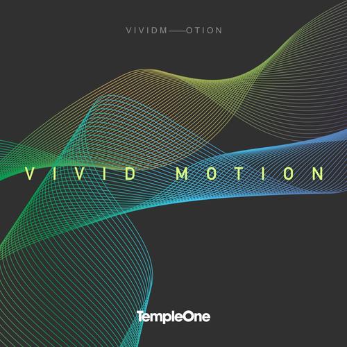 Vivid Motion