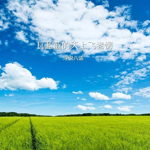 瓦蓝蓝的天上飞老愣dj