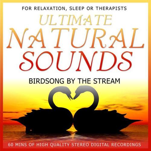 Ultimate Natural Sounds - Birdsong By the Stream