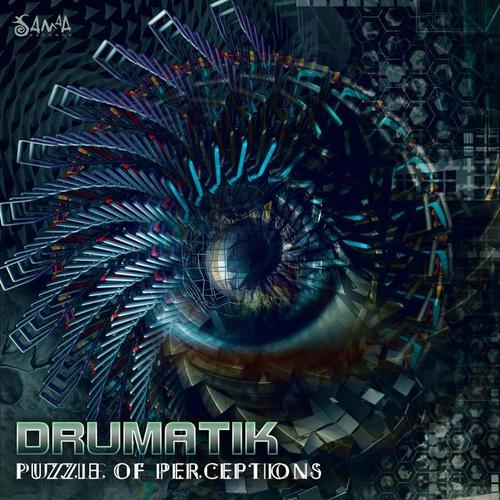 Puzzle of Perceptions