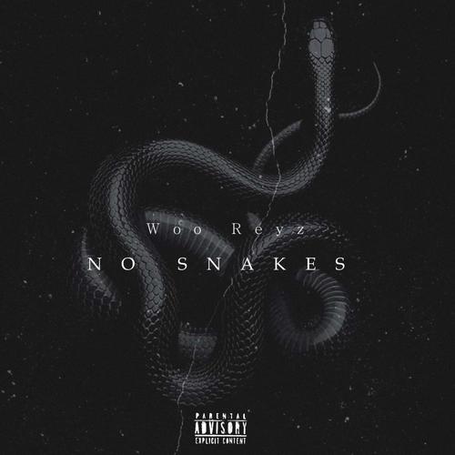 No Snakes (Explicit)