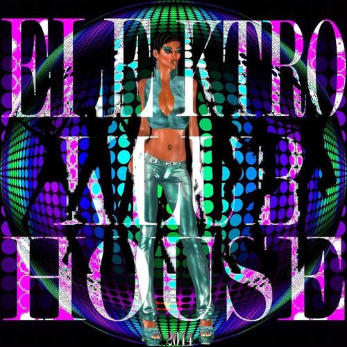 Elektro Klub House 2014 (Best of Club and Electro Sounds)